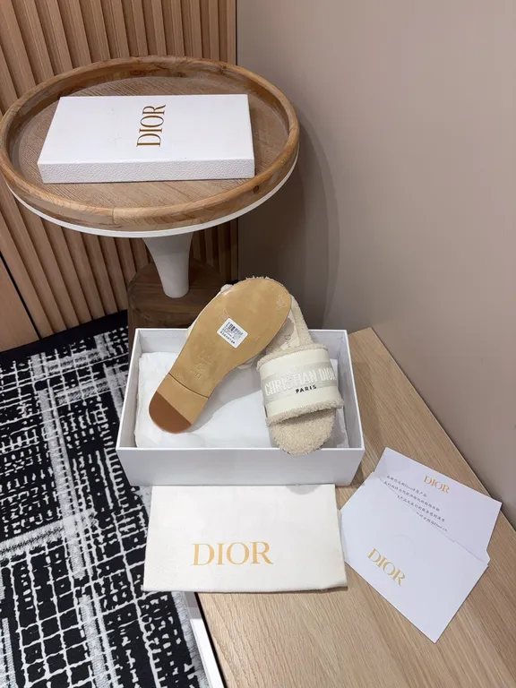 Dior Shoe 